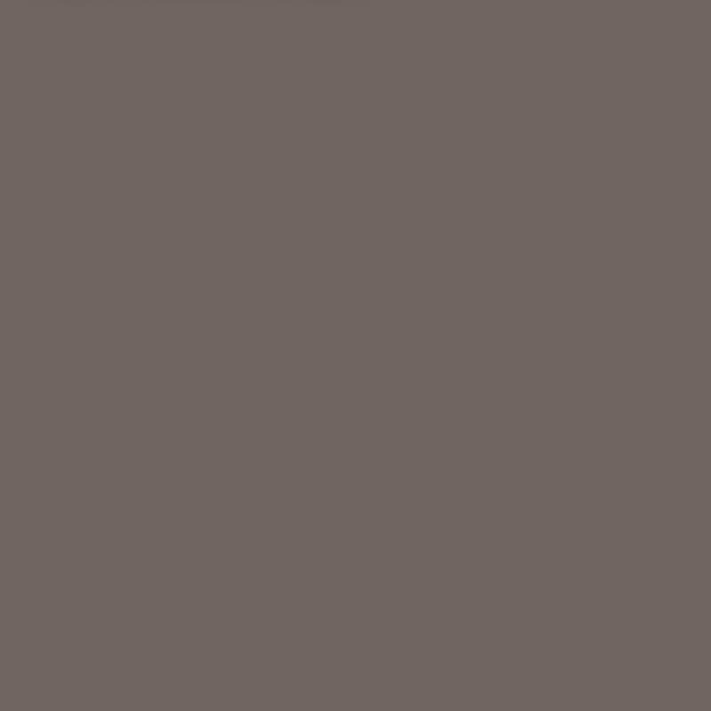 LISA Gris cobalt bord frontal noir